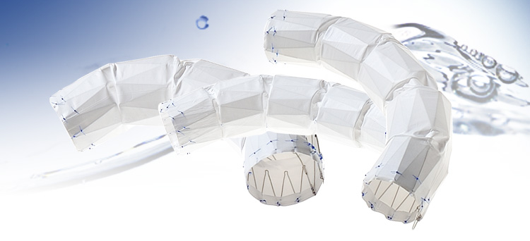 Najuta CMD Thoracic Stent Graft System